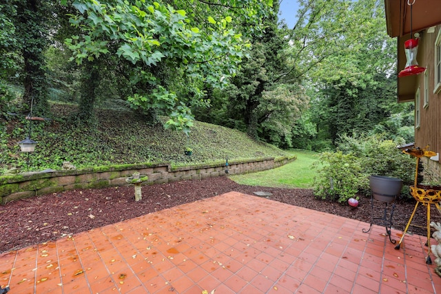 787 Flinn Dr, Chattanooga, TN 37412 - view of patio / terrace