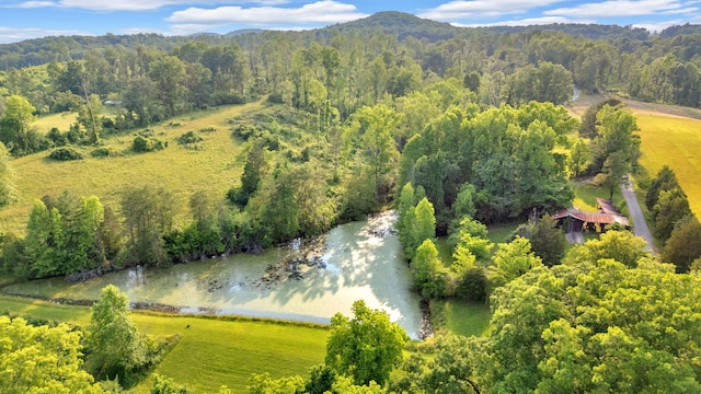 596 Clifty Creek Rd, Oakdale, TN 37829