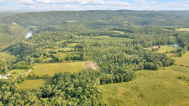 596 Clifty Creek Rd, Oakdale, TN 37829