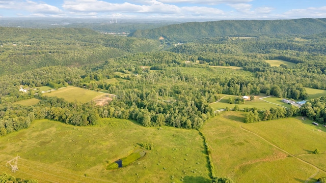 596 Clifty Creek Rd, Oakdale, TN 37829