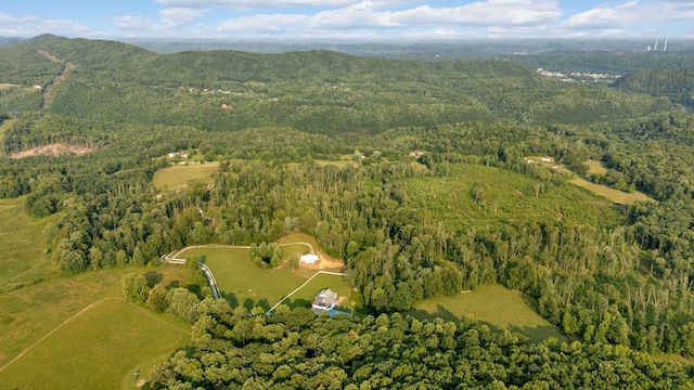 596 Clifty Creek Rd, Oakdale, TN 37829
