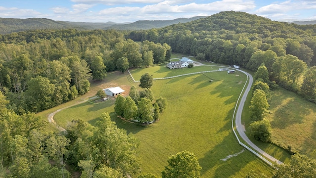 596 Clifty Creek Rd, Oakdale, TN 37829