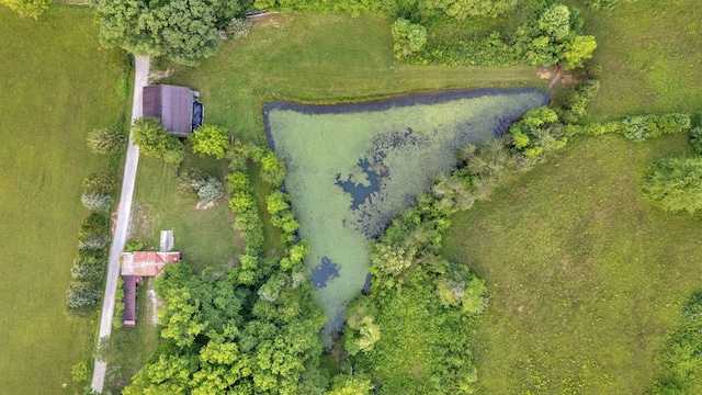 596 Clifty Creek Rd, Oakdale, TN 37829