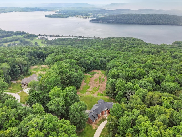 310 Bluffs Rd N, South Pittsburg, TN 37380 - aerial view of a nearby body of water and a forest