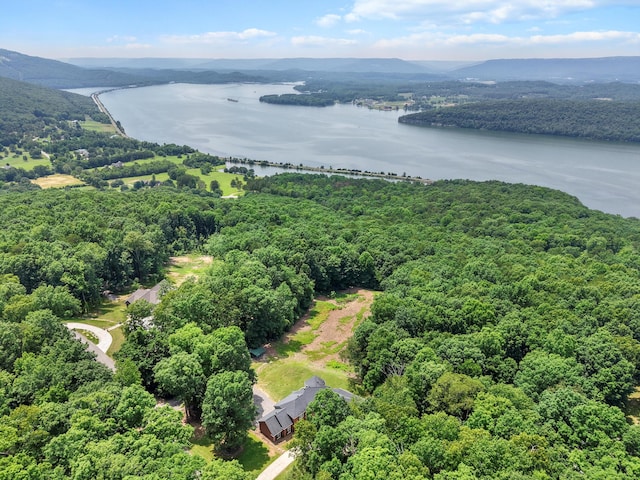 310 Bluffs Rd N, South Pittsburg, TN 37380 - aerial view of a water and mountain view and a forest