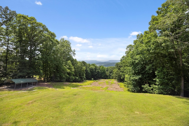 310 Bluffs Rd N, South Pittsburg, TN 37380 - view of green lawn featuring a detached carport