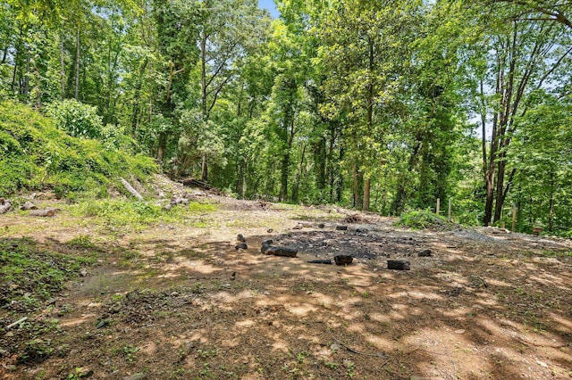 274 Pine Hill Dr SW, Mcdonald, TN 37353 - photo 3