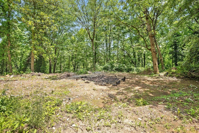 274 Pine Hill Dr SW, Mcdonald, TN 37353 - photo 4
