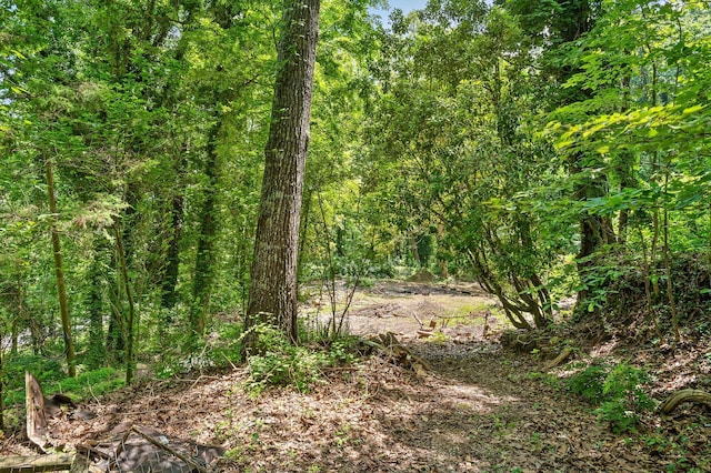 274 Pine Hill Dr SW, Mcdonald, TN 37353 - photo 12
