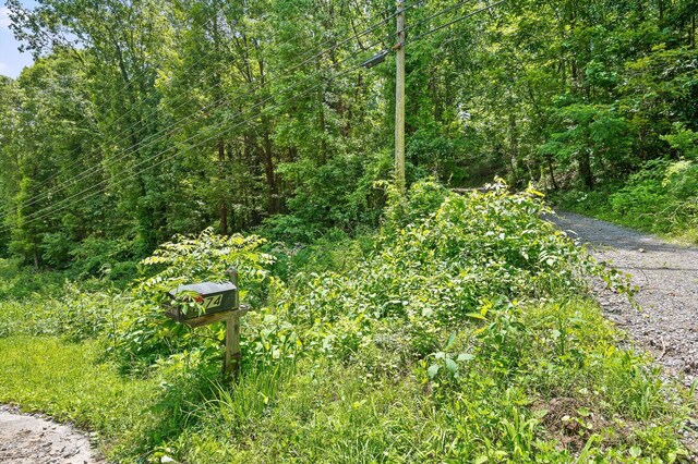 274 Pine Hill Dr SW, Mcdonald, TN 37353 - photo 16