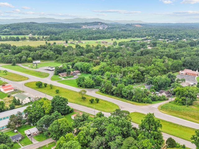 125 NE Dixie Dr, Cleveland, TN 37323 - photo 22
