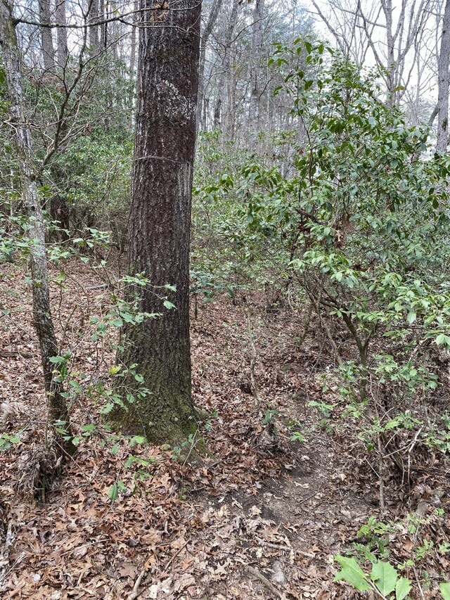 0 Lone Wolf Trl Unit 4, Spencer, TN 38585