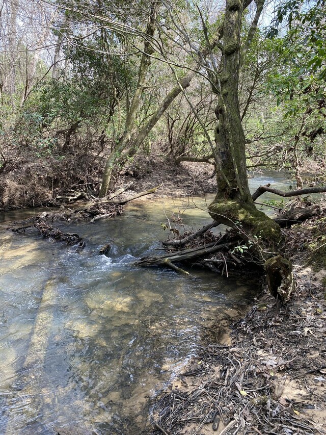 0 Lone Wolf Trl Unit 4, Spencer, TN 38585