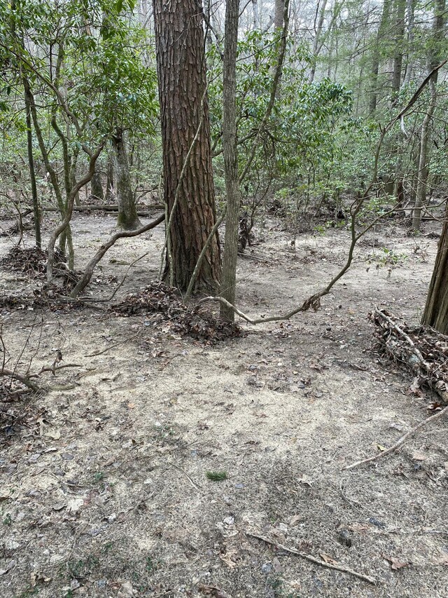 0 Lone Wolf Trl Unit 4, Spencer, TN 38585