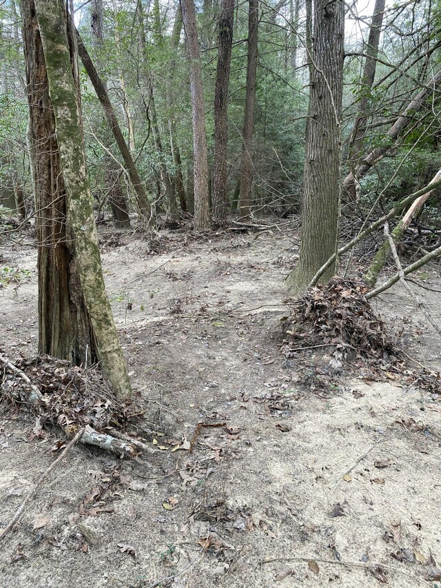 0 Lone Wolf Trl Unit 4, Spencer, TN 38585