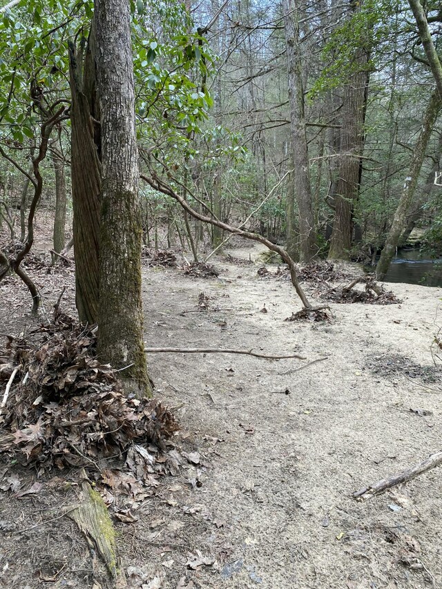 0 Lone Wolf Trl Unit 4, Spencer, TN 38585