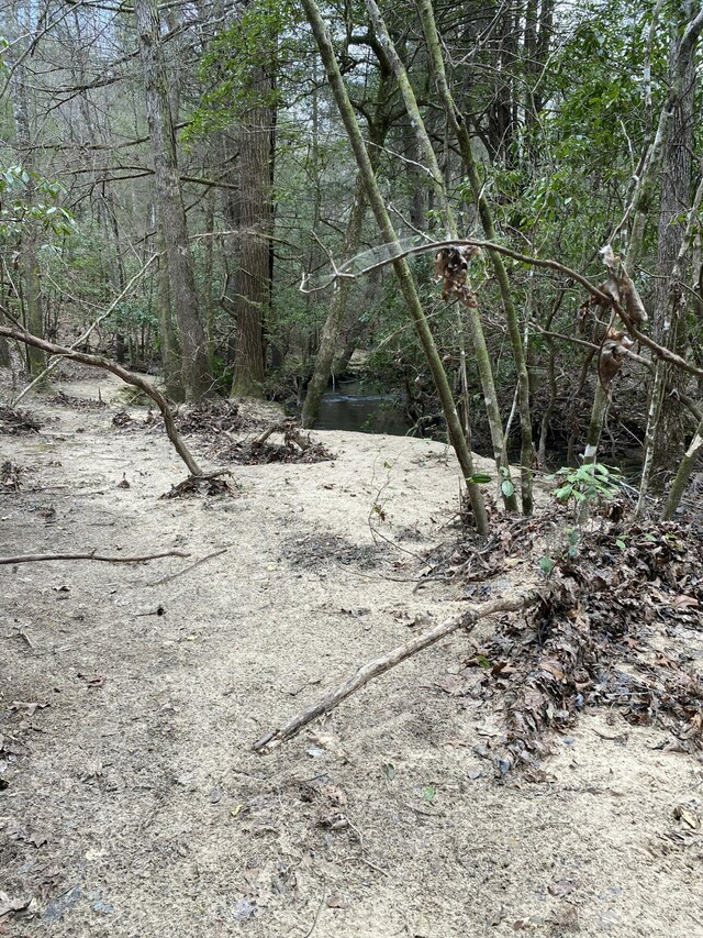0 Lone Wolf Trl Unit 4, Spencer, TN 38585