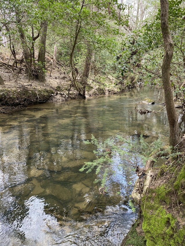 0 Lone Wolf Trl Unit 4, Spencer, TN 38585
