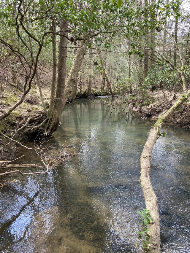 0 Lone Wolf Trl Unit 4, Spencer, TN 38585