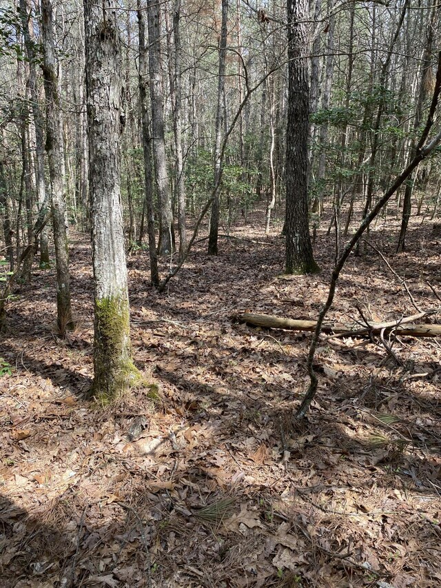 0 Lone Wolf Trl Unit 4, Spencer, TN 38585