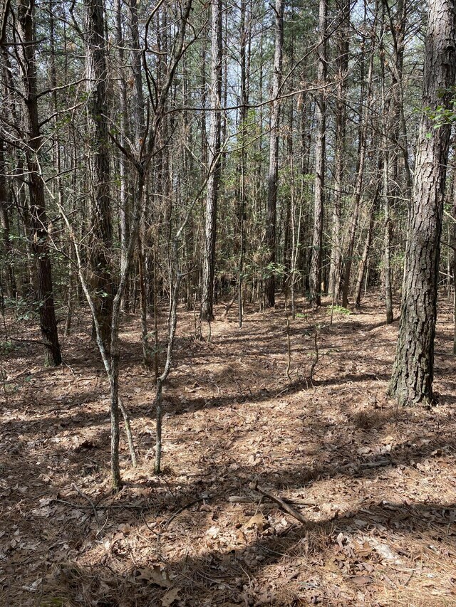 0 Lone Wolf Trl Unit 4, Spencer, TN 38585