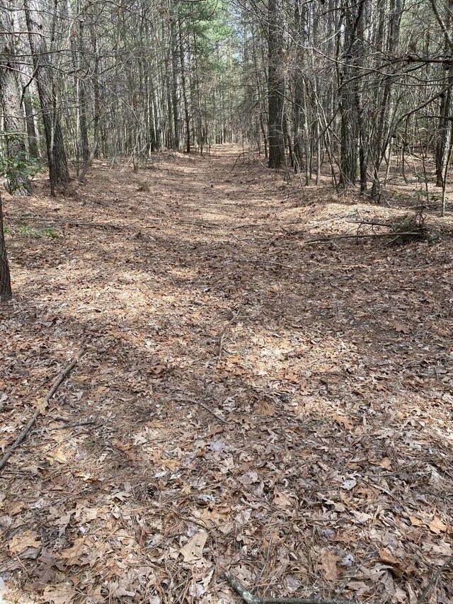 0 Lone Wolf Trl Unit 4, Spencer, TN 38585