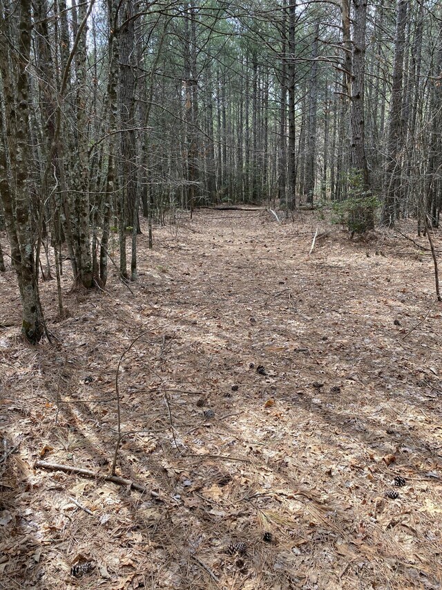 0 Lone Wolf Trl Unit 4, Spencer, TN 38585