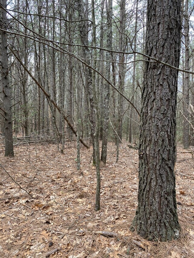 0 Lone Wolf Trl Unit 4, Spencer, TN 38585