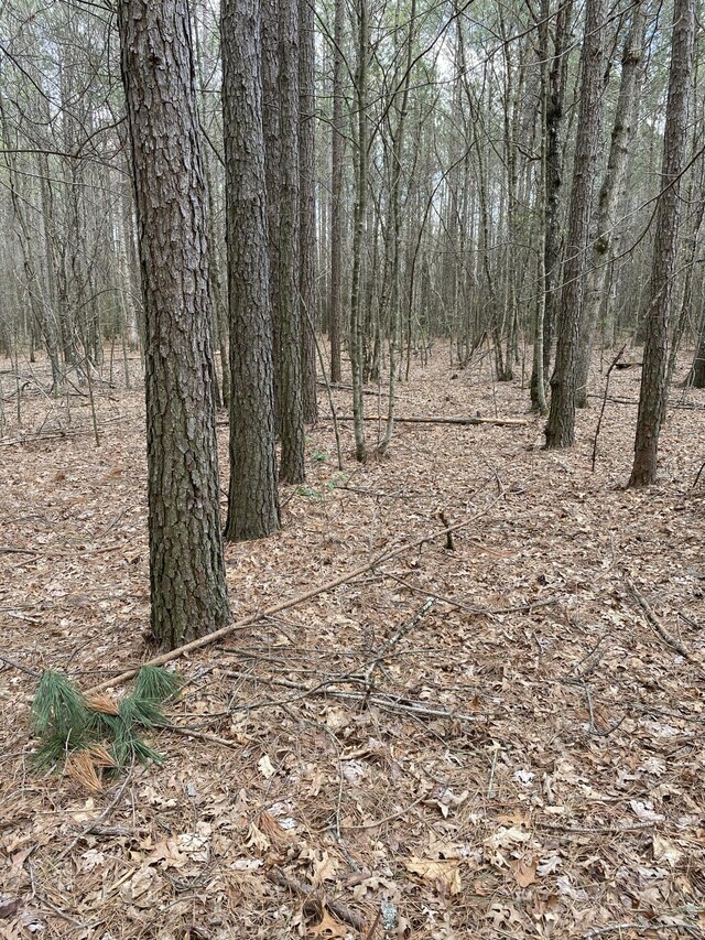 0 Lone Wolf Trl Unit 4, Spencer, TN 38585