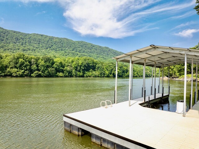 2430 Suck Creek Rd, Chattanooga, TN 37405 - photo 14