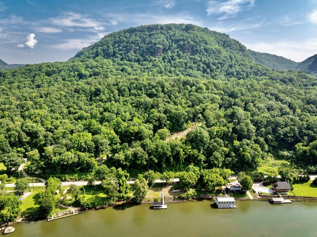 2430 Suck Creek Rd, Chattanooga, TN 37405 - photo 17