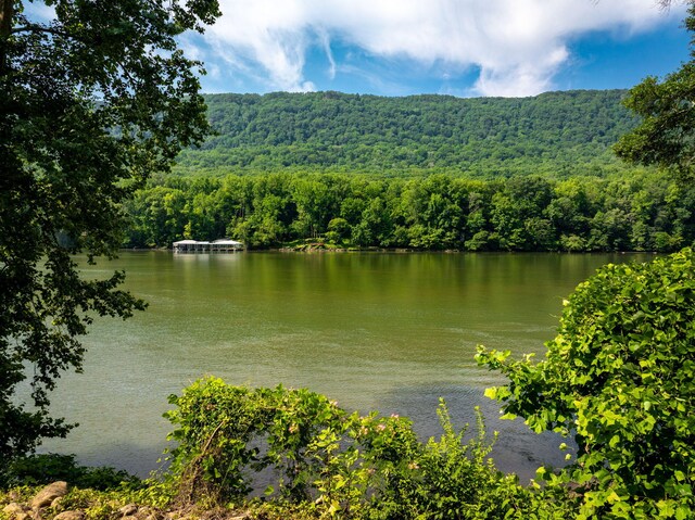 2430 Suck Creek Rd, Chattanooga, TN 37405 - photo 18