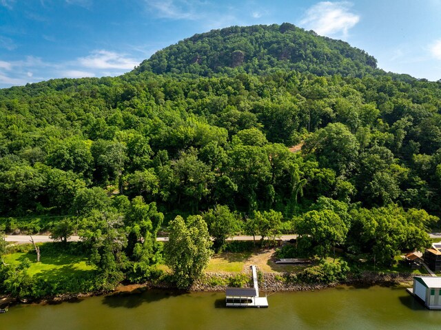 2430 Suck Creek Rd, Chattanooga, TN 37405 - photo 19