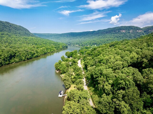 2430 Suck Creek Rd, Chattanooga, TN 37405 - photo 23