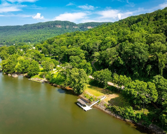 2430 Suck Creek Rd, Chattanooga, TN 37405 - photo 29