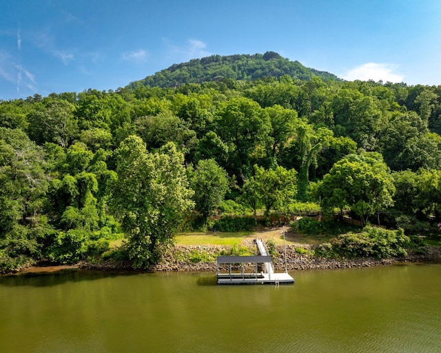 2430 Suck Creek Rd, Chattanooga, TN 37405 - photo 31