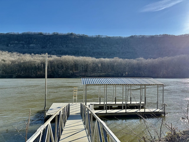 2430 Suck Creek Rd, Chattanooga, TN 37405 - photo 32