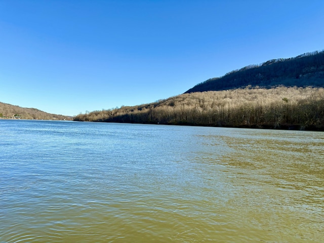 2430 Suck Creek Rd, Chattanooga, TN 37405 - photo 3