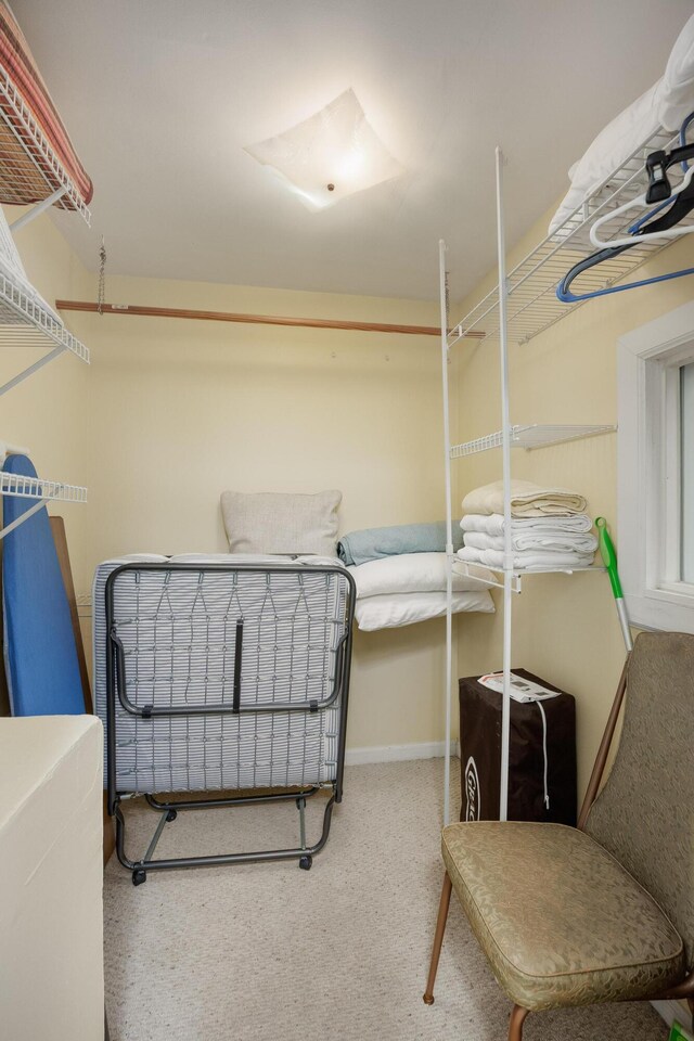 602 Oliver St, Chattanooga, TN 37405 - walk in closet featuring carpet flooring