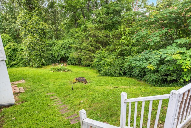 602 Oliver St, Chattanooga, TN 37405 - view of green lawn