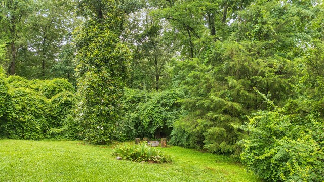 602 Oliver St, Chattanooga, TN 37405 - view of grassy yard with a wooded view