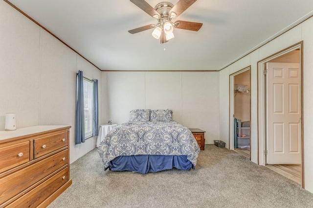 1005 Cohutta Beaverdale Rd, Cohutta, GA 30710 - bedroom with carpet, a ceiling fan, and crown molding