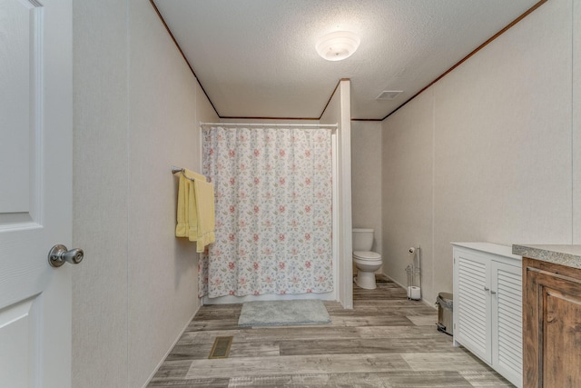 1005 Cohutta Beaverdale Rd, Cohutta, GA 30710 - bathroom featuring wood finished floors, toilet, vanity, a shower with shower curtain, and a textured ceiling