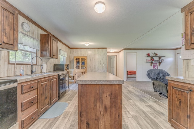1005 Cohutta Beaverdale Rd, Cohutta, GA 30710 - kitchen featuring a sink, a center island, light wood finished floors, ornamental molding, and range