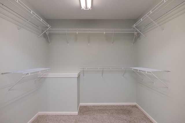 2195 Ooltewah Ringgold Rd, Ooltewah, TN 37363 - spacious closet with carpet flooring