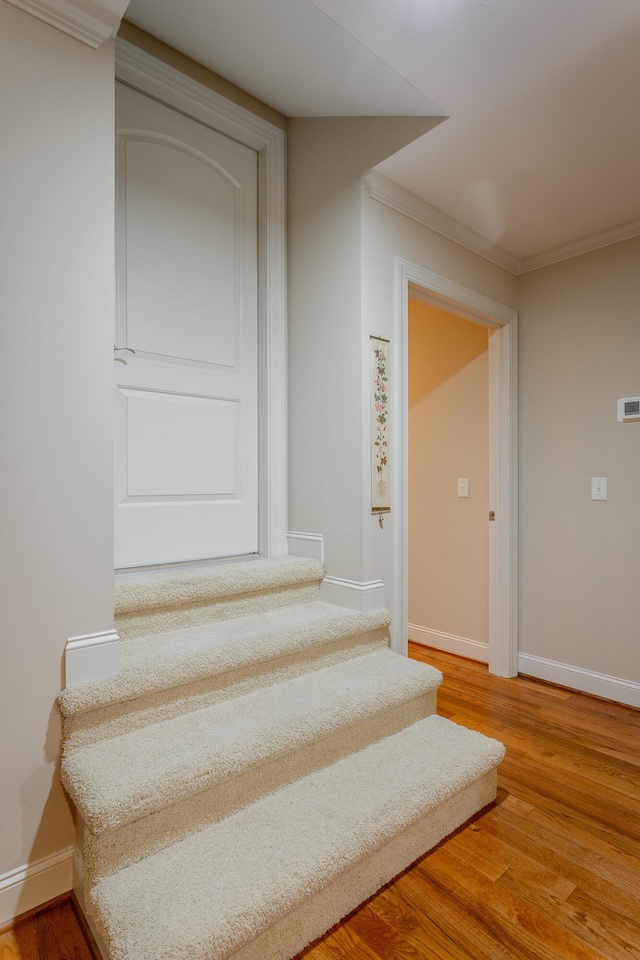 9542 Legacy Oaks Dr, Ooltewah, TN 37363 - photo 81