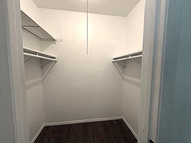 900 Mountain Creek Rd Unit V 478, Chattanooga, TN 37405 - walk in closet featuring dark wood-style floors