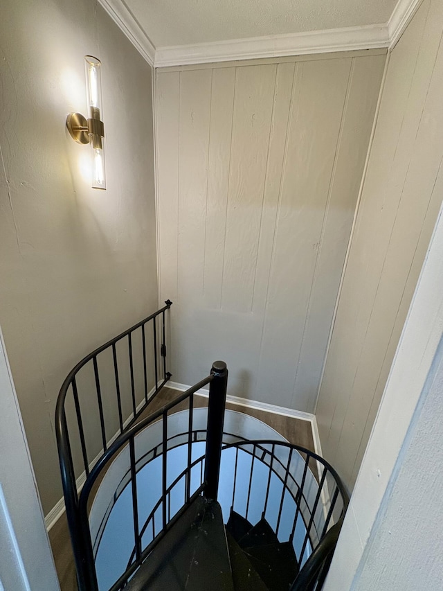 905 Mcadoo St, Clinton, TN 37716 - photo 19