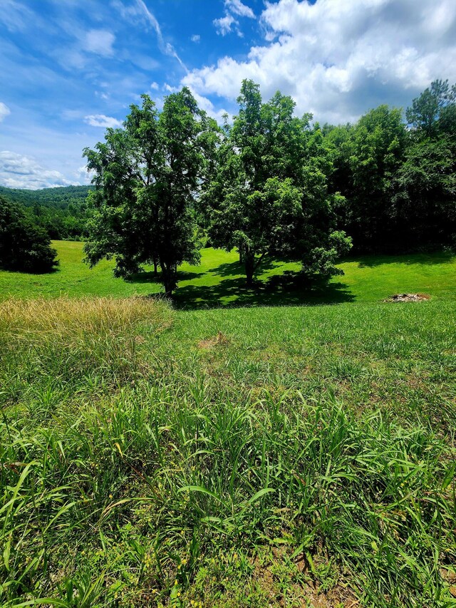 0 Goodfield Ter Unit 25, Decatur, TN 37322