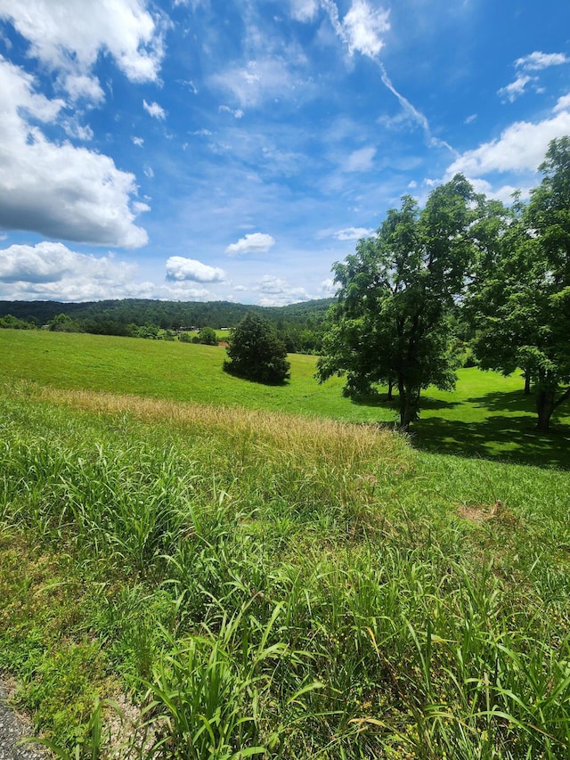 0 Goodfield Ter Unit 25, Decatur, TN 37322